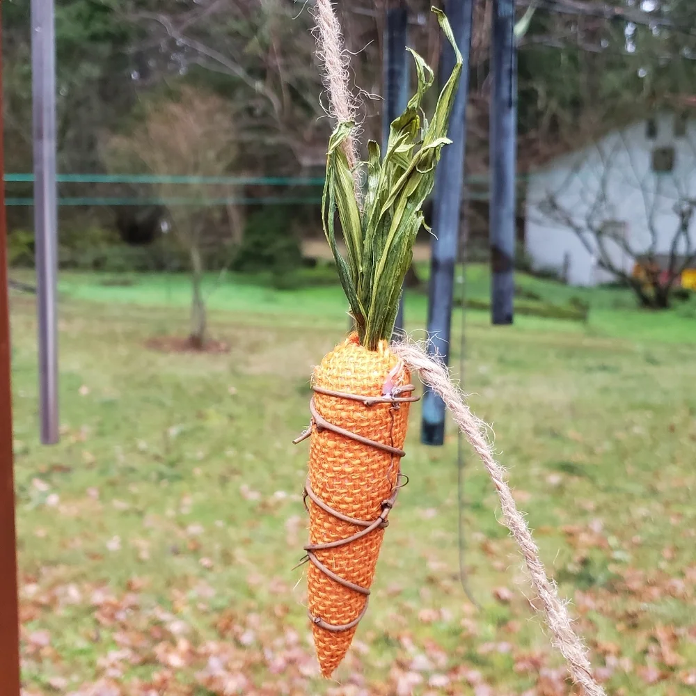 Source Unknown carrot garland